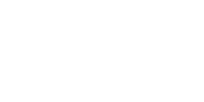Polaritätspionier Logo