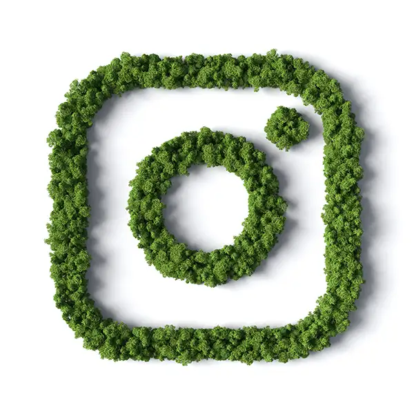 Instagram-Logo aus grünen Pflanzen, Symbol für nachhaltiges Social Media Branding