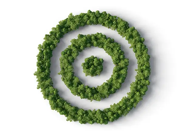 Grüne Zielscheibe aus Bäumen – Symbol für nachhaltige und präzise SEO-Strategien