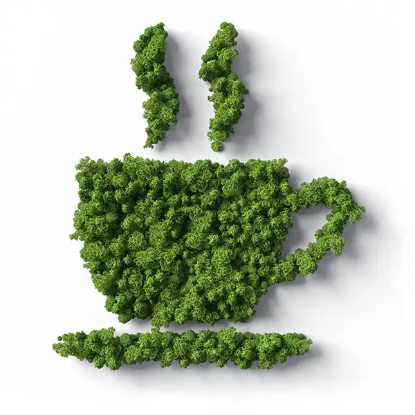 Kaffeetasse aus grünen Pflanzen – Symbol für entspannte Social-Media-Betreuung