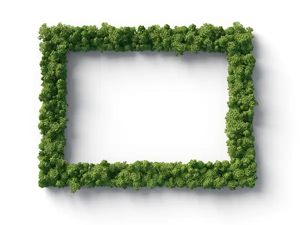 Rechteckiger Rahmen aus grünen Pflanzen – Symbol für nachhaltige Printgestaltung