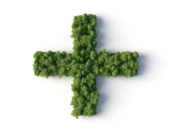 Grünes Pluszeichen aus Bäumen – Symbol für Mehrwert und digitale Barrierefreiheit