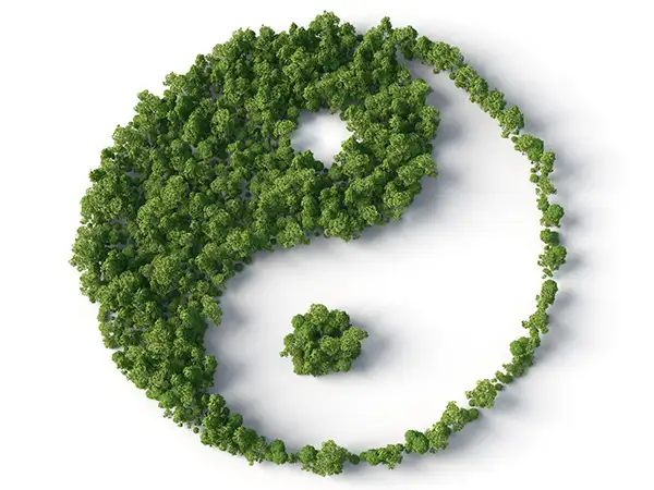Yin-Yang-Symbol aus grünen Bäumen als Symbol für nachhaltiges und ausgewogenes Design