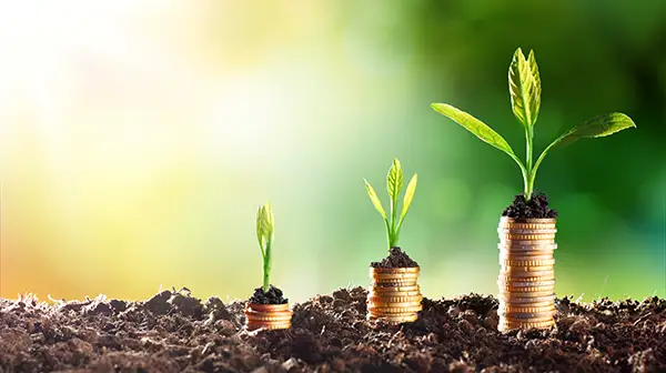 Wachsende Pflanzen auf Münzstapeln – Symbol für Green Impact Programm und nachhaltiges Wachstum